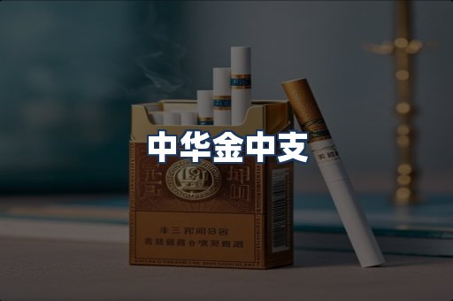 中华金中支